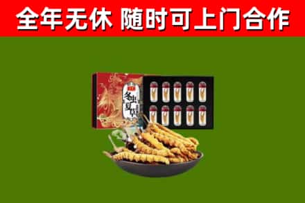 肇源回收冬虫夏草价格
